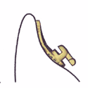 �C���R�O�j�[�g