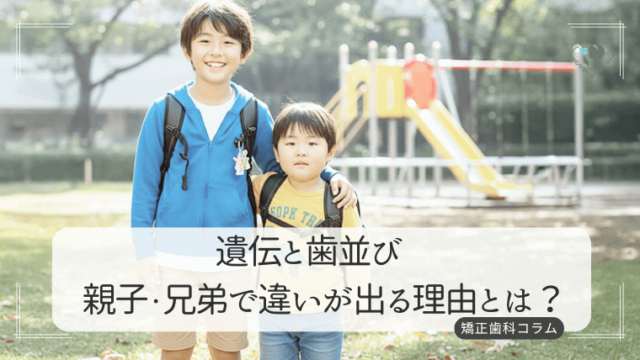 遺伝と歯並び 親子・兄弟で違いが出るその理由とは?