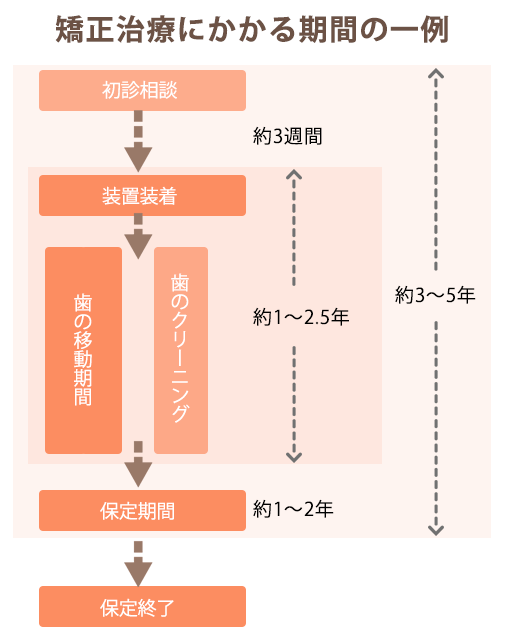 矯正にかかる期間の一例