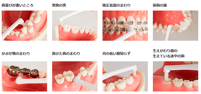 ライオン歯科衛生研究所たふとぶらし