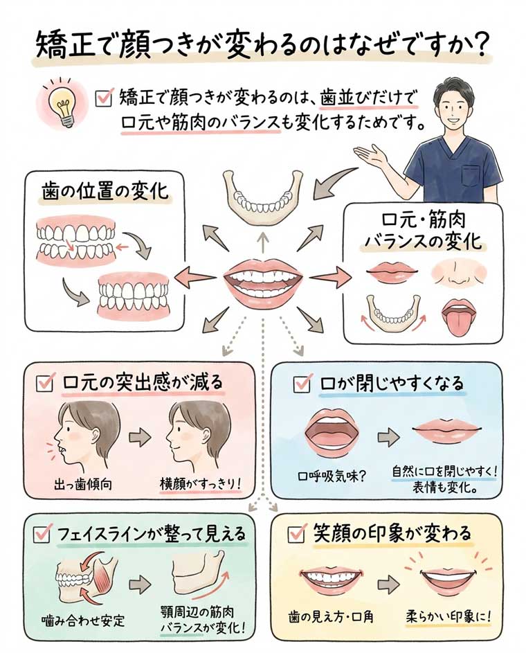矯正で顔つきが変わるのはなぜですか？の図解