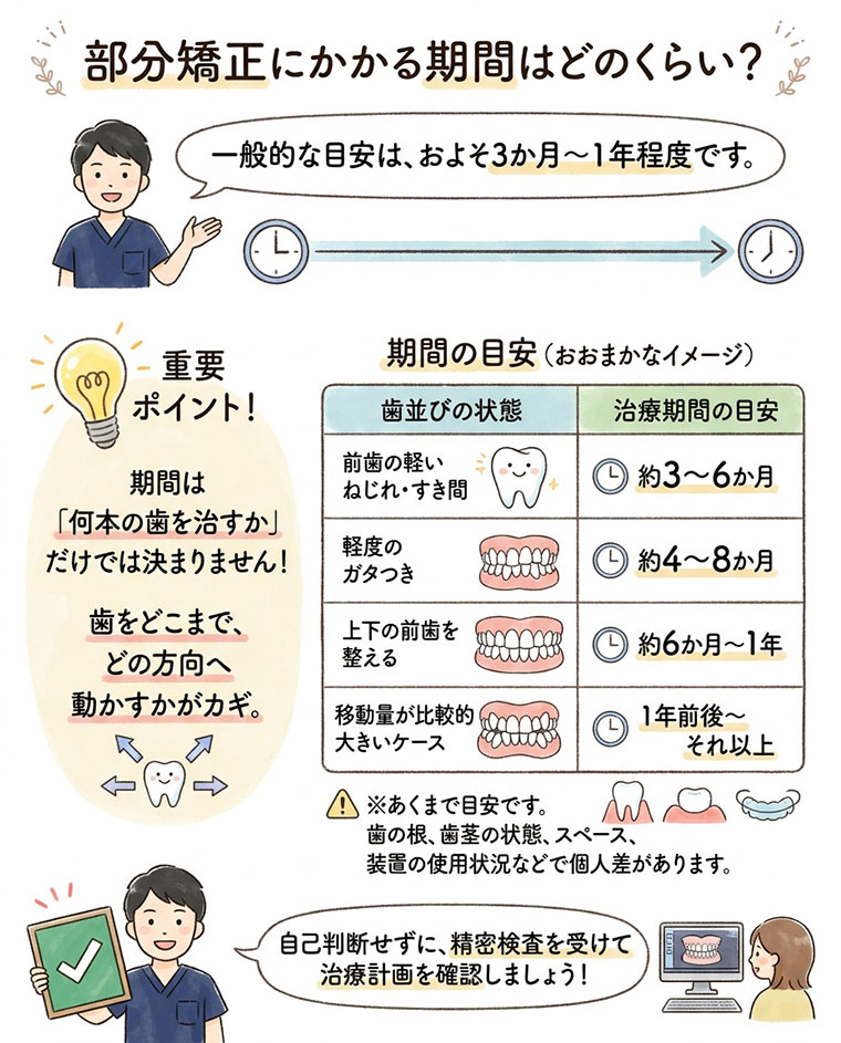 部分矯正にかかる期間はどのくらい？の図解