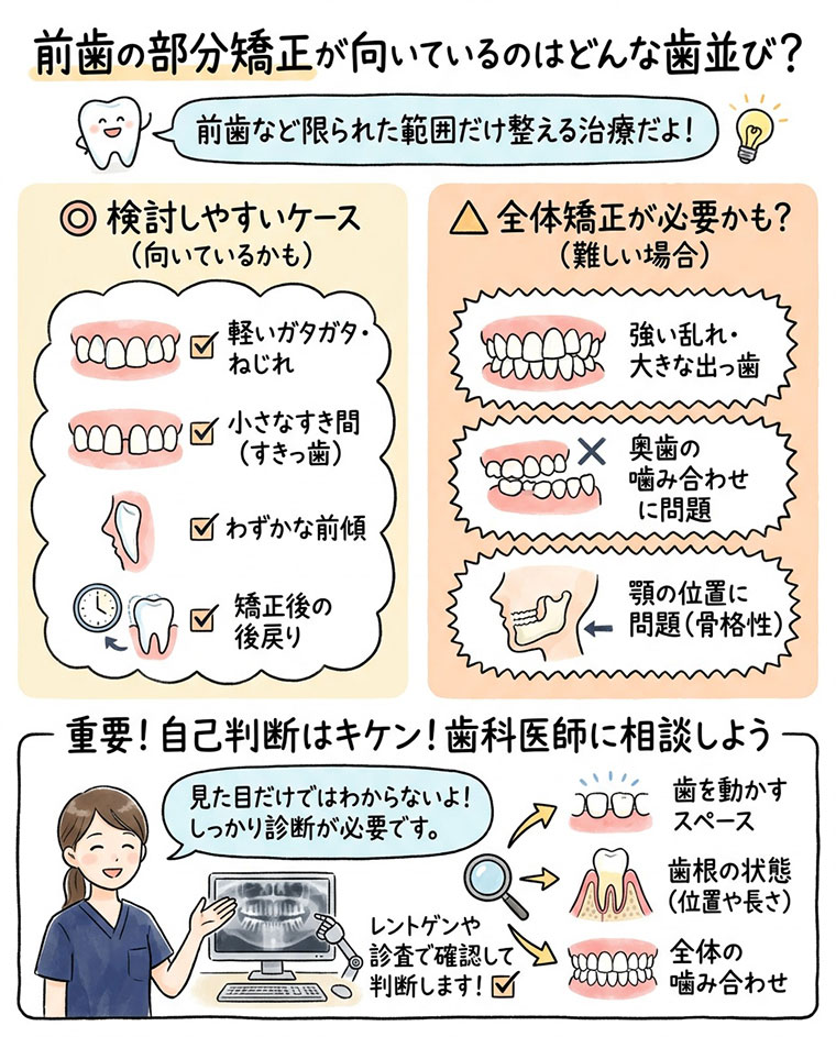 前歯の部分矯正が向いているのはどんな歯並び？の図解