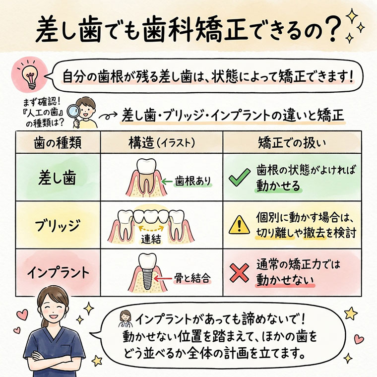 差し歯でも歯科矯正できるの？の図解