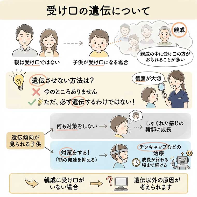 受け口の遺伝についての図解