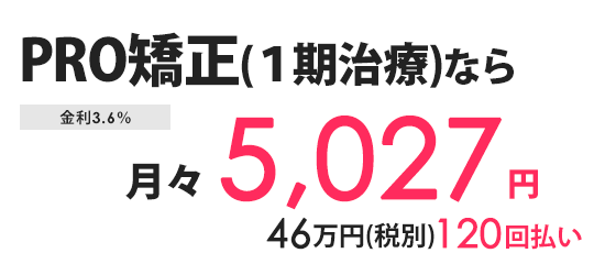 分割払い 月々の金額